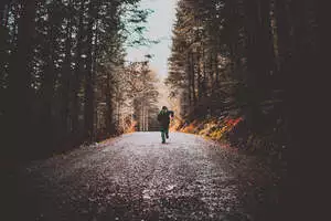 Person in a dark jacket walking away down a gravel forest road lined with tall trees in hazy light