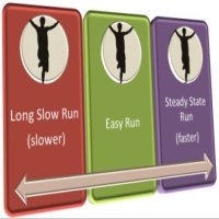 Steady state running between easy and tempo pace
