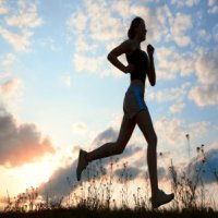 Runner following structured half marathon training plan
