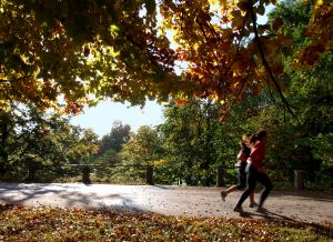 marathon pacing