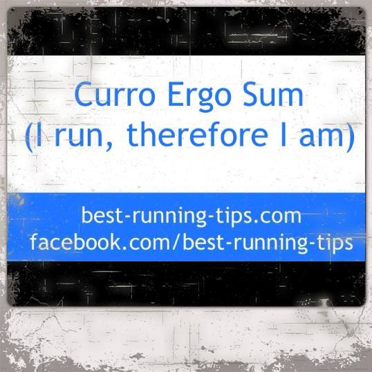 curro ergo sum running quote