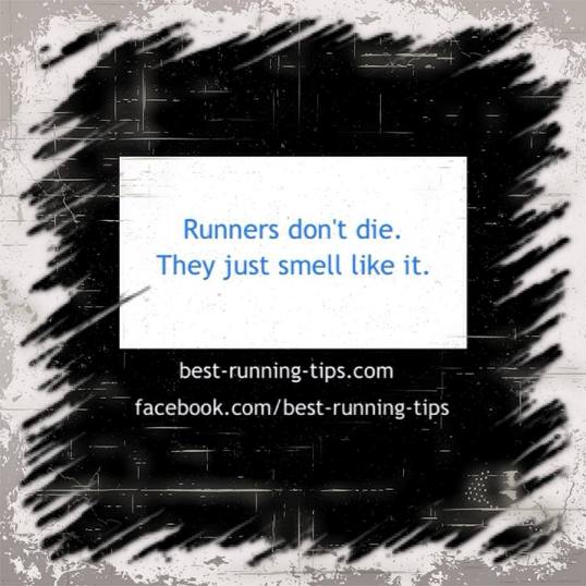 running quote - runner's don't die. they just smell like it.