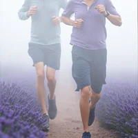 Close-up of elderly runners' faces in misty lavender field at dawn, showing determination and peaceful focus