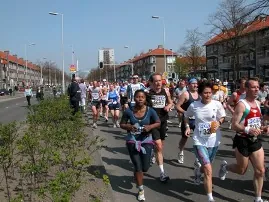 Large group of runners racing along a tree-lined city road on a sunny day