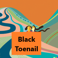 black toenail