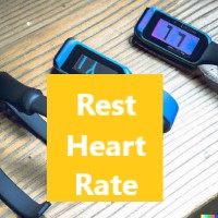 race conversion calculator