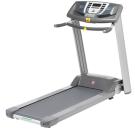 Treadmill Running Small