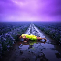 Lone barefoot runner in neon kit collapsed on wet ground amid vast dark pre-dawn lavender fields, fine art photography