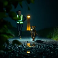 Person in high-visibility vest running at night alongside a dog on a wet road, lit by a yellow lamp