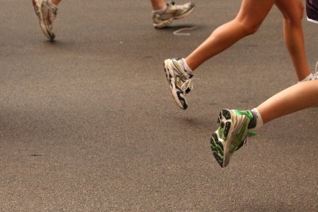 danies running formula