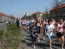 Crowd of runners in a city road race on a tree-lined street, many wearing race bibs, on a sunny day